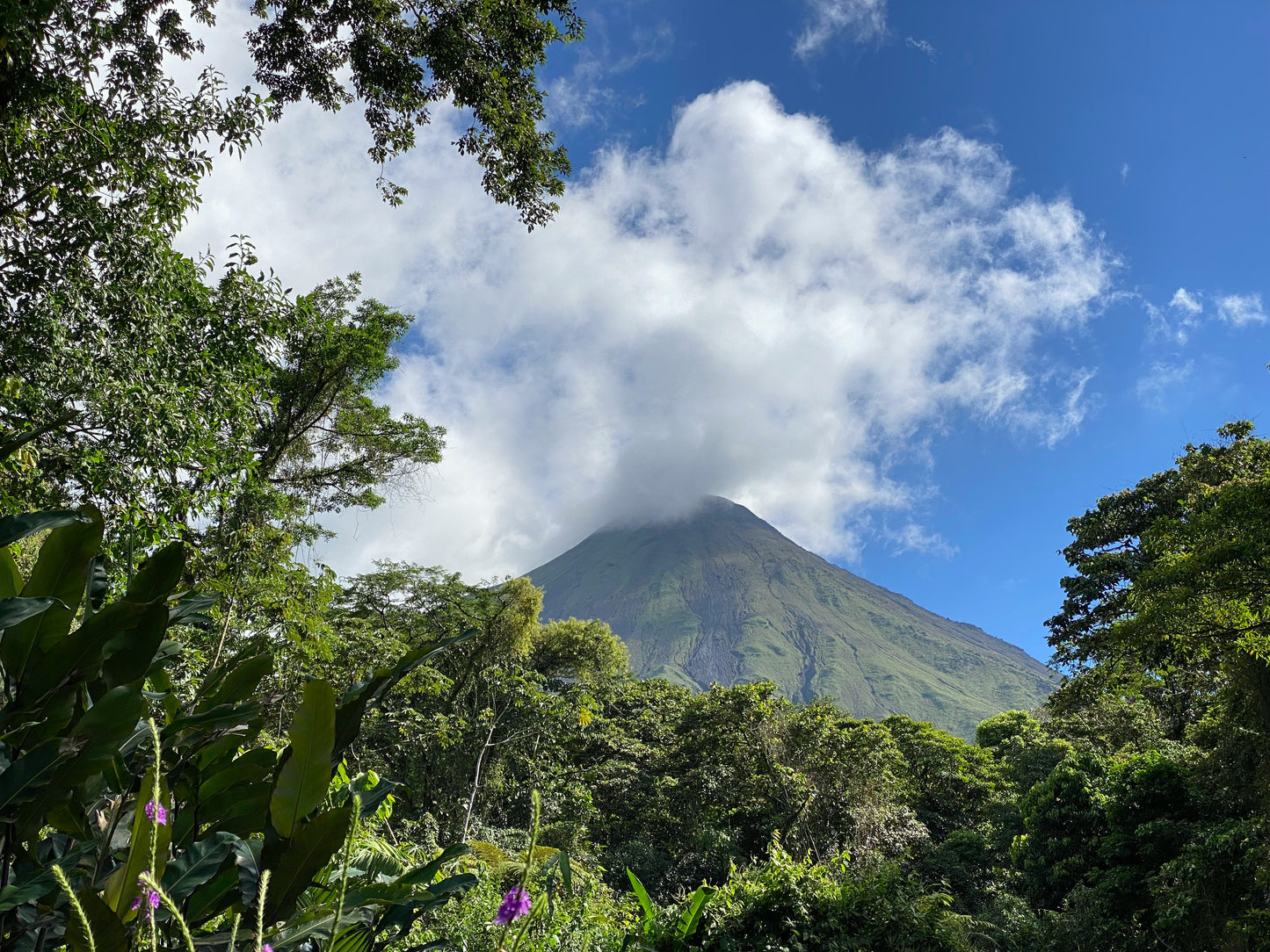 Spring Break at Lost Iguana Resort: Spa & Hot Springs in Beautiful Arenal, Costa Rica | April 12-17, 2025